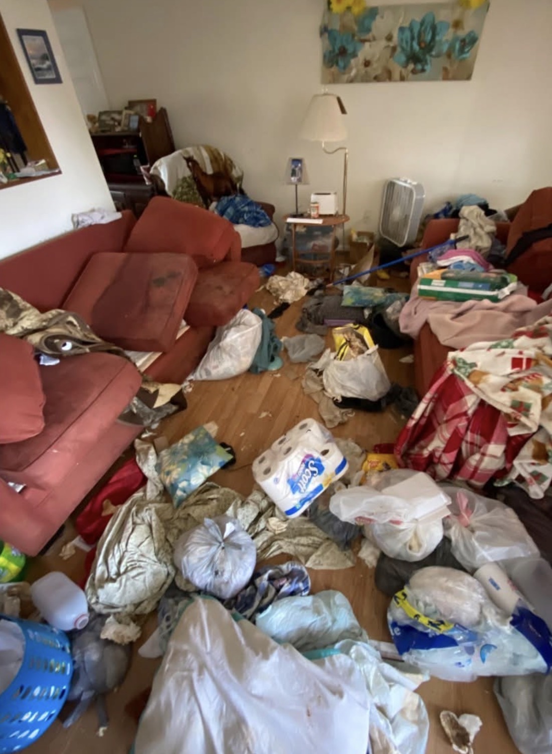 hoarding cleanup